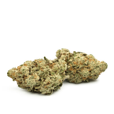 Buy Cookies and Cream Strain Online Green Society