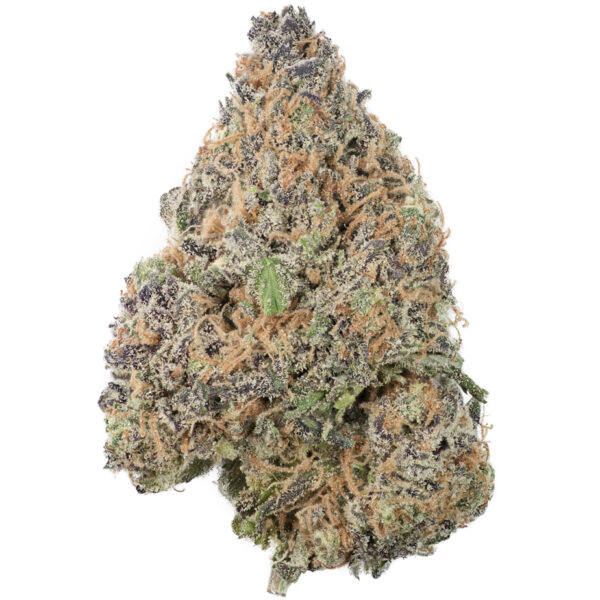 Jack the Ripper