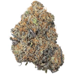 Buy Purple Haze Strain Online Green Society