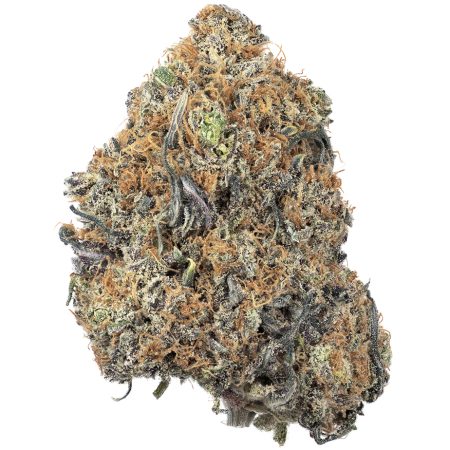 Buy Purple Haze Strain Online Green Society