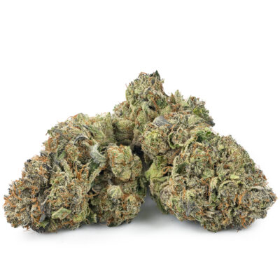 Buy Astro Pink Kush Online Green Society