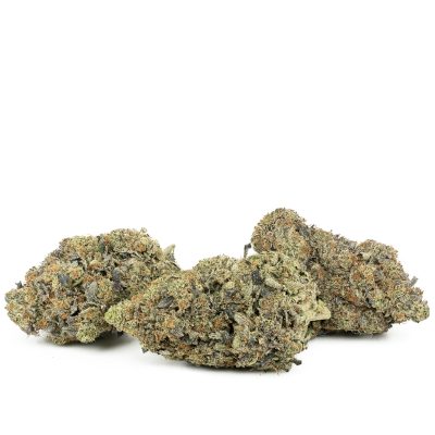 Buy MotorBreath #2 Strain Online Green Society