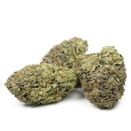 Buy Royal Gorilla by RQS Online Green Society