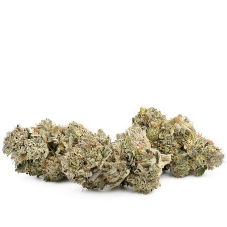 Buy Ghost Dawg Strain Online Green Society