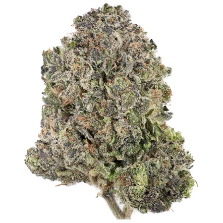 Buy Granddaddy Purple Strain Online Green Society