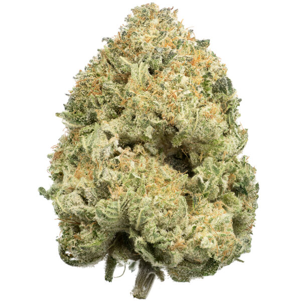 Buy Sensi Star Online Green Society