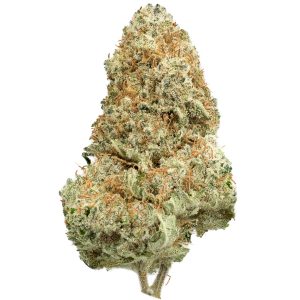 Buy Thin Mint Strain Online Green Society