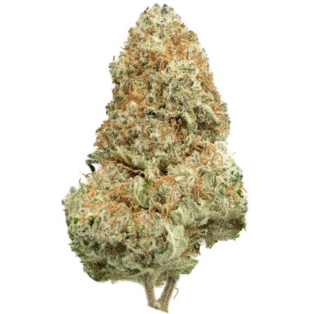 Buy Thin Mint Strain Online Green Society