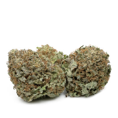Buy Lucky Charms Strain Online Green Society