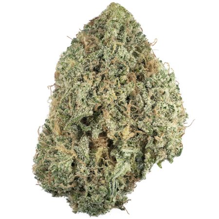 Buy Melonade Strain Online Green Society