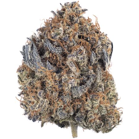 Buy Do-Si Dos Strain Online Green Society