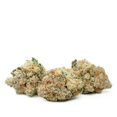 Buy Orange Crush Strain Online Green Society