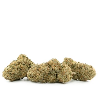 Buy Sour Scout Strain Online Green Society