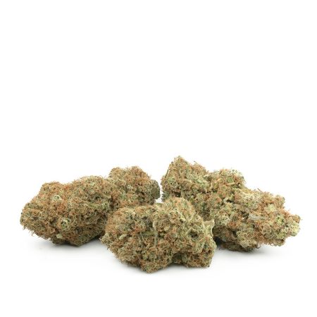 Buy Red Lemon Congo Online Green Society