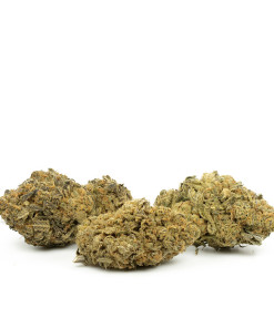 Buy Sour Cookies Online Green Society