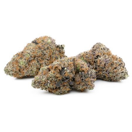 Buy Chocolope Kush Online Green Society