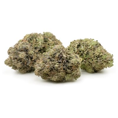 Buy Krazy Glue Strain Online Green Society