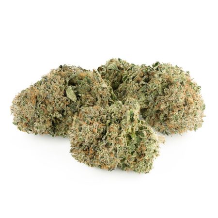 Buy BC Kush (Bulk) Online Green Society