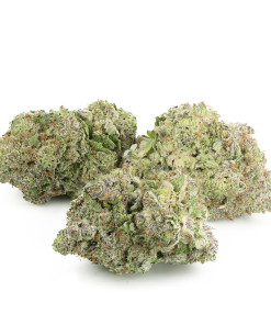 Buy Lucky Charms Strain Online Green Society