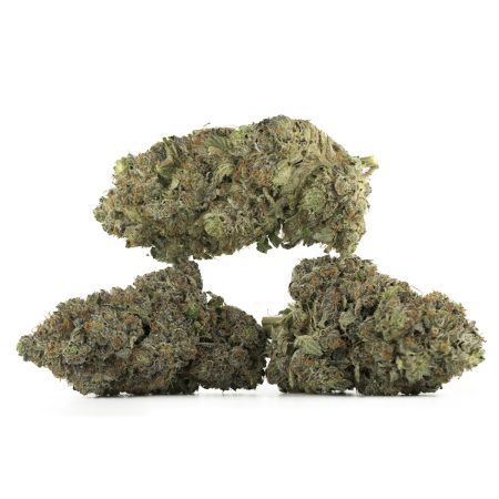 Buy Pre-98 Bubba Kush Strain Online Green Society