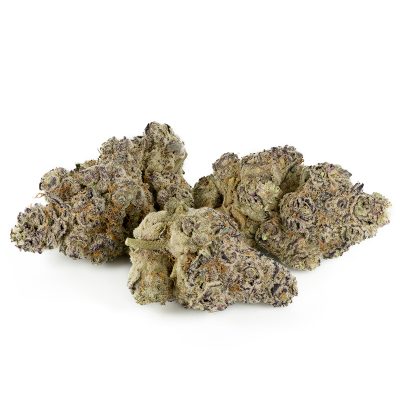 Buy Biscotti Strain Online Green Society