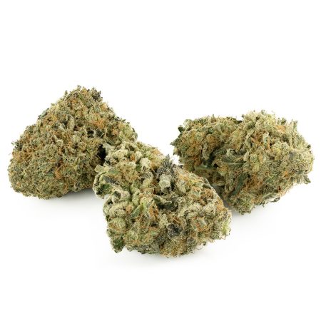 Buy Romulan Cheese Strain Online Green Society