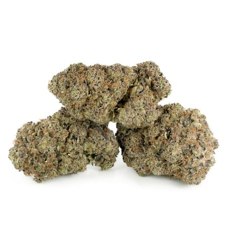 Buy Galactic Gas Strain Online Green Society