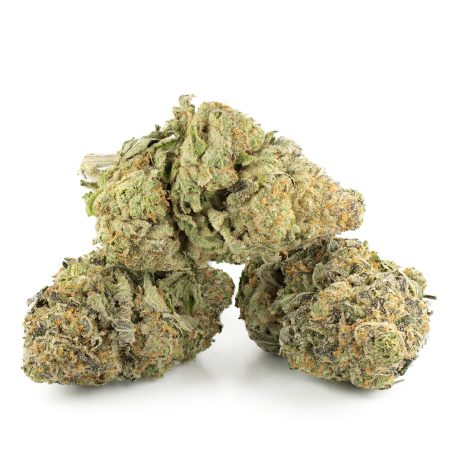 Buy Cheese Quake Strain Online Green Society