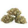 Buy Northern Lights Strain Online Green Society