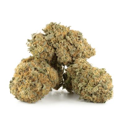 Buy Sour Scout Strain Online Green Society