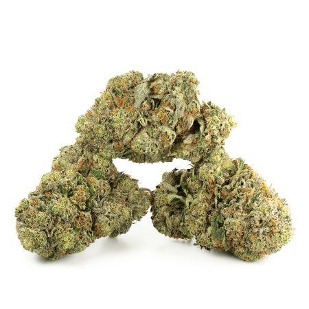 Buy Motorbreath #2 Online Green Society