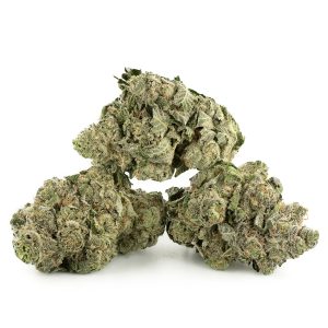 Buy Twisted Citrus Strain Online Green Society