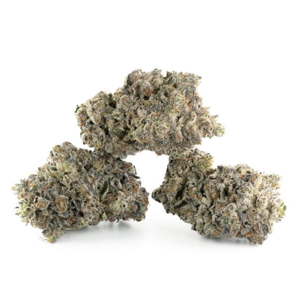 Buy Vice City Strain Online Green Society