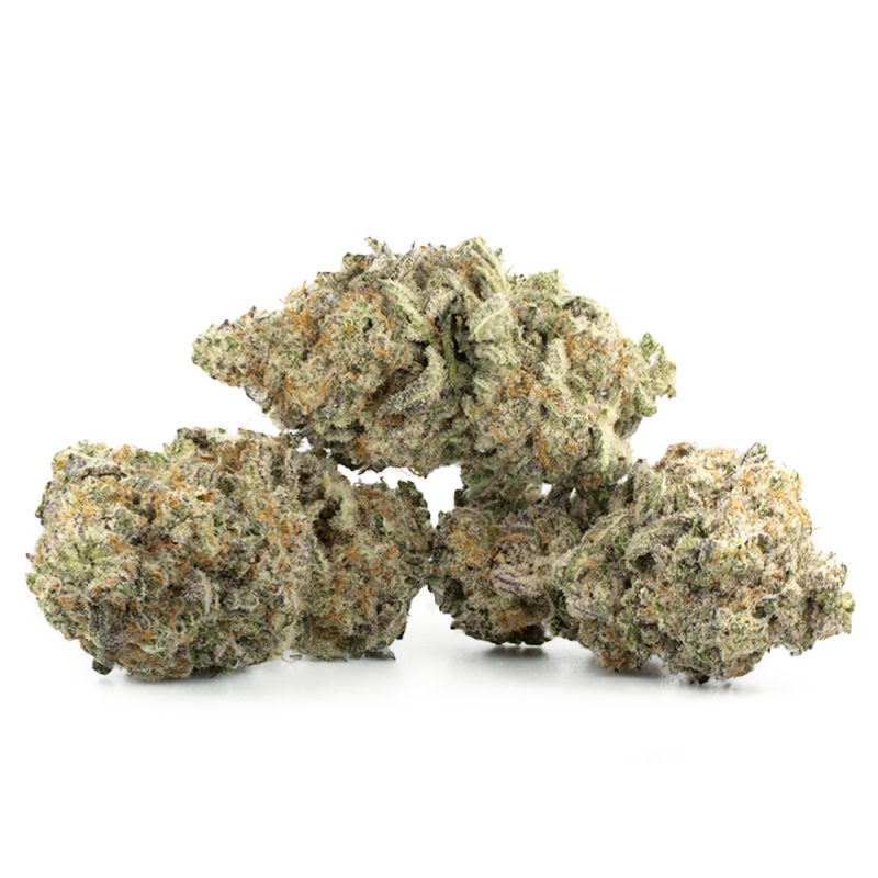 Buy Miracle Alien Cookies #10 Online Green Society