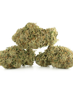 Buy Miracle Cake Strain Online Green Society
