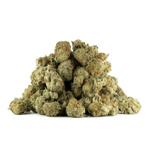 Buy Forum Cut Girl Scout Cookies Online Canada Green Society