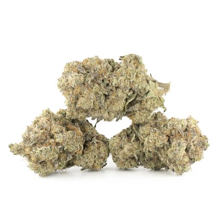 Buy GMO Cookies Strain Online Canada Green Society