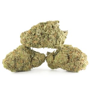 Buy Girl Scout Cookies Strain Online Green Society