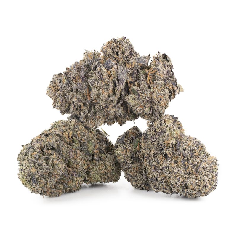 Buy Sunset Sherbet Strain Online Canada Green Society