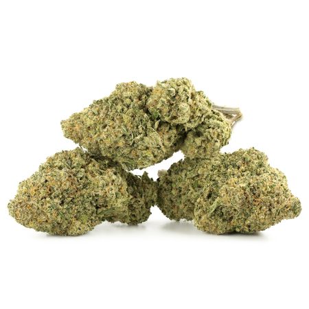 Buy Citrique Strain Online Green Society