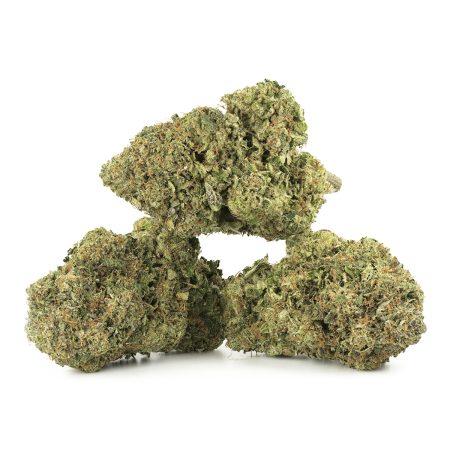 Buy Original Glue Strain Online Green Society