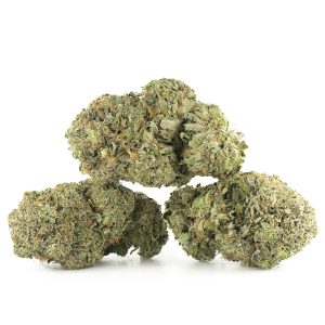 Buy Pink Gas Mask Strain Online Green Society