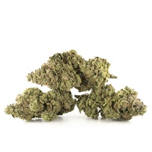 Buy Sour Diesel Strain Online Green Society