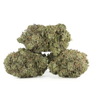 Buy Astro Pink Kush by Pluto Craft Cannabis Strain Online Green Society