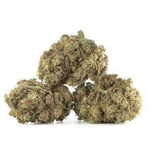 Buy Chemdawg 91 Strain Online Green Society