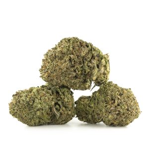 Buy Fuelato Strain Online Green Society