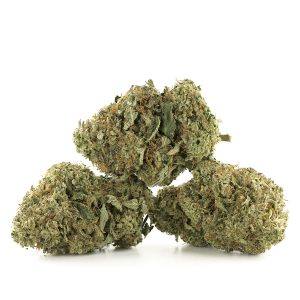 Buy Northern Lights Strain Online Green Society