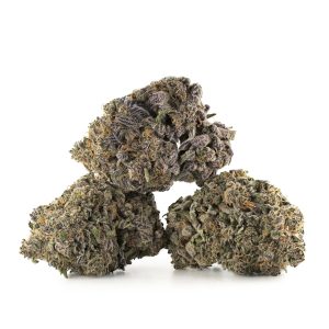 Buy Purple Space Cookies Strain Online Green Society