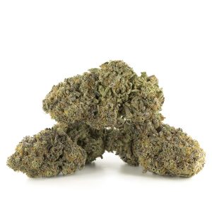 Buy Fruit Gushers Strain Online Green Society