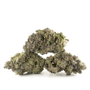 Buy Grape Krush Strain Online Green Society